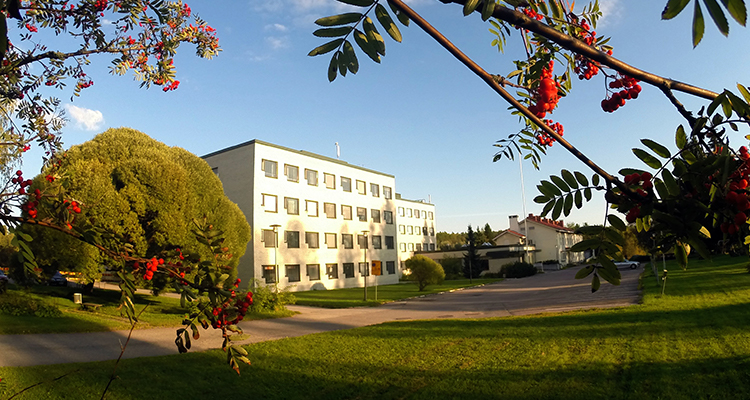 Päihdesairaala